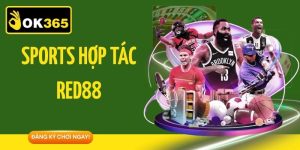 Sports Hợp Tác Red88 - Sảnh Thể Thao Được Yêu Thích Top 1